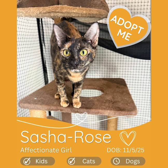 Photo of Sasha Rose