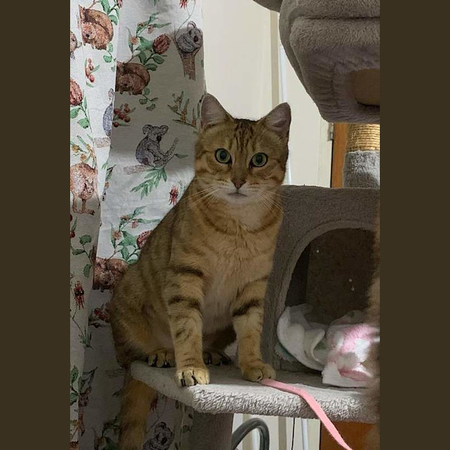 Photo of Sissy