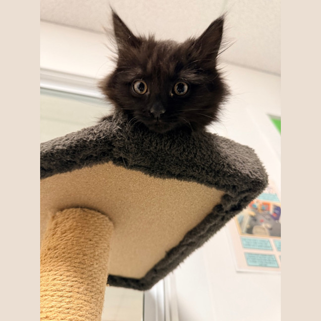 Photo of Maisy