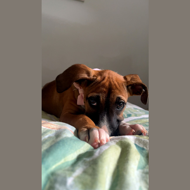Photo of Amelia
