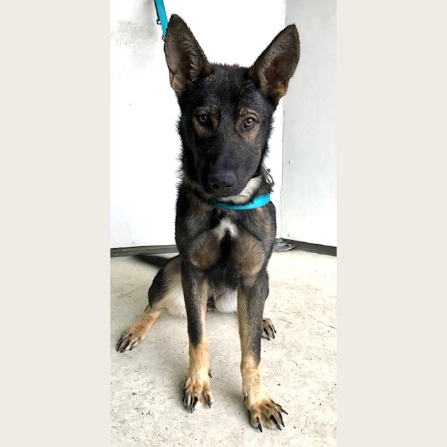 Photo of Xena