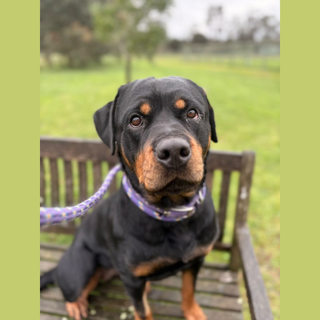 Photo of Milly
