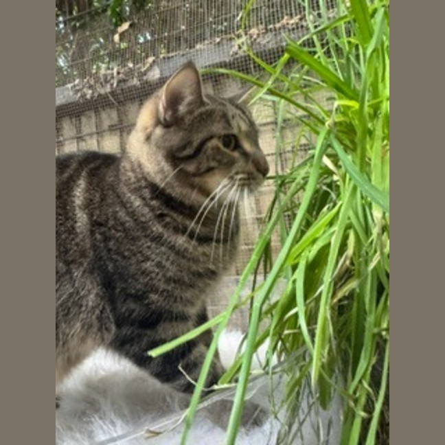 Photo of Monty