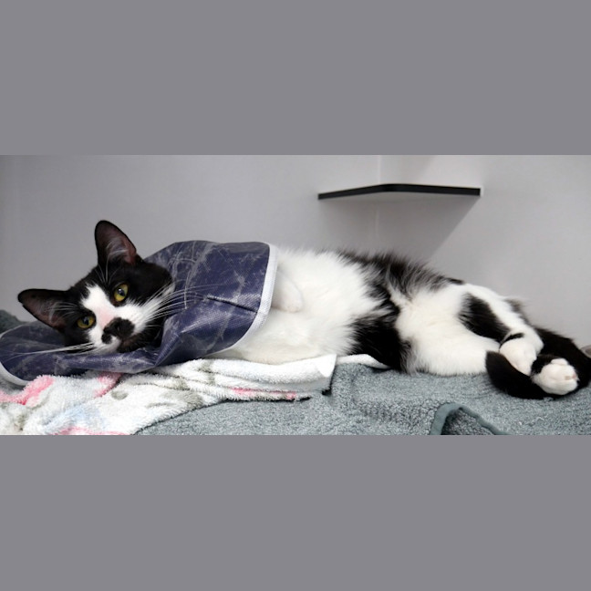 Photo of Suki Sta012985