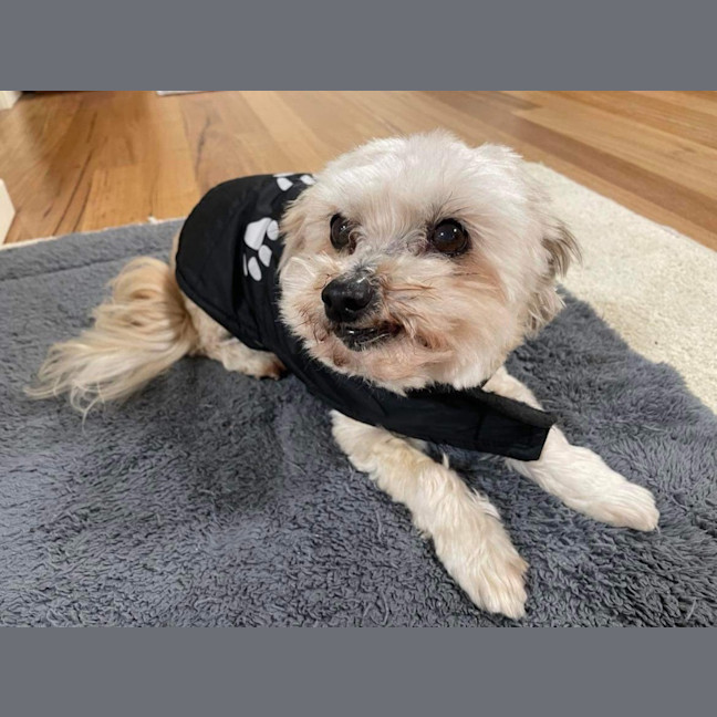 Photo of Bianca / Stella