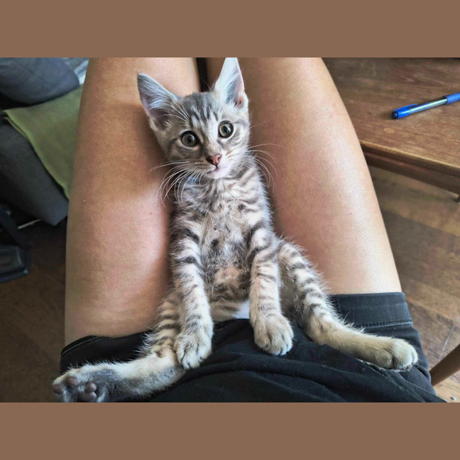 Photo of Bruno / Fruit Loop