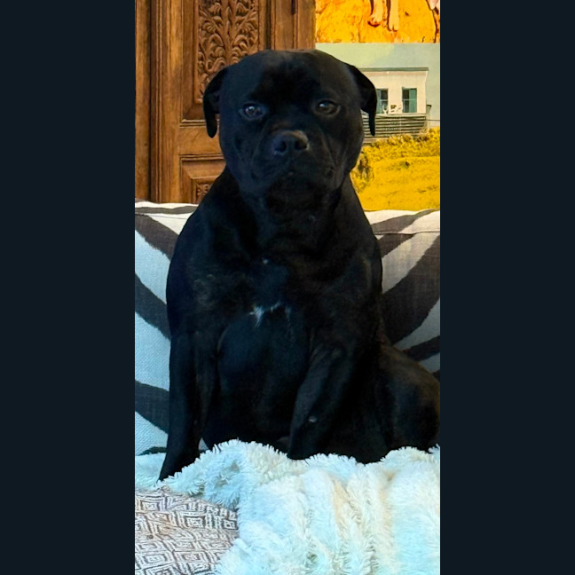 Photo of Reggie