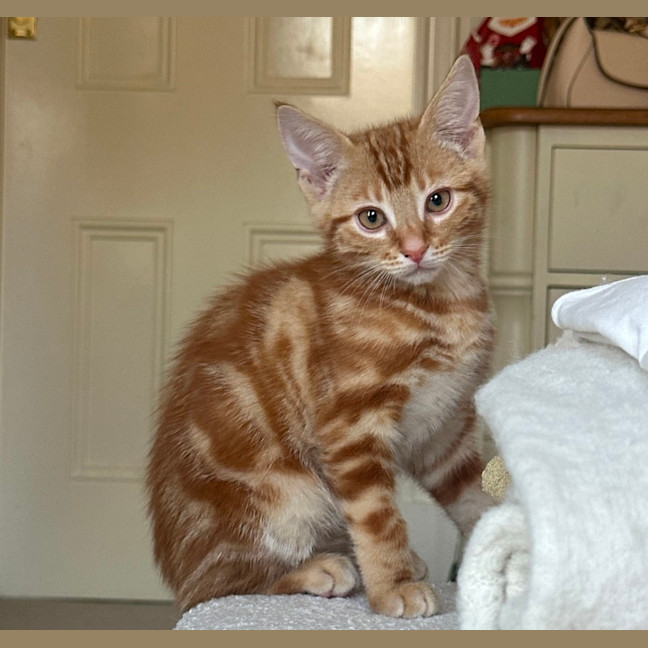 Photo of Bingo
