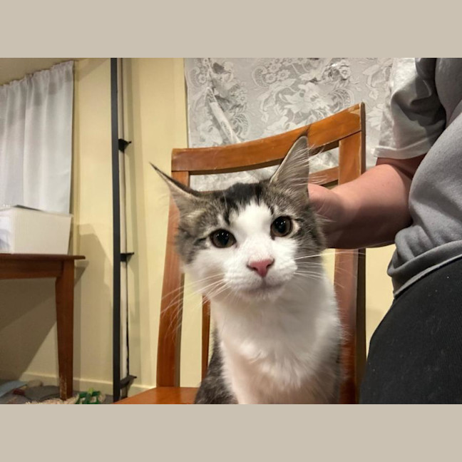 Photo of Coco