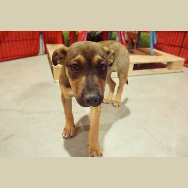 Photo of Thelma