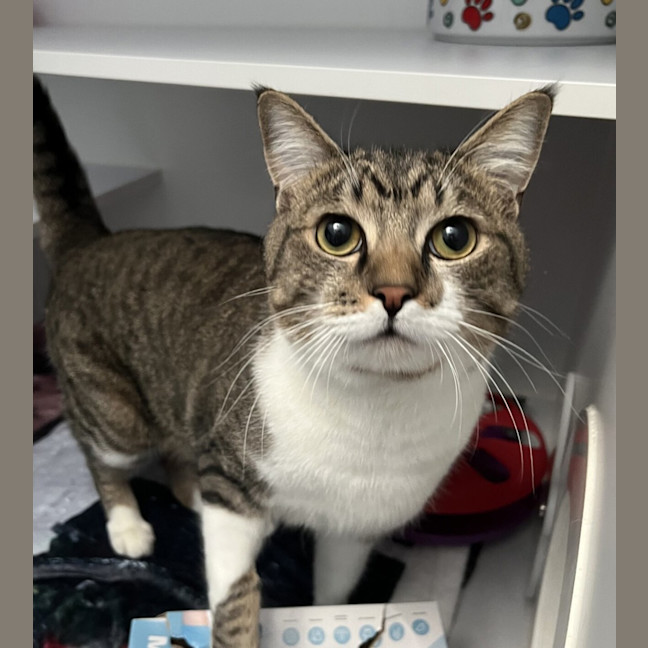 Photo of Max