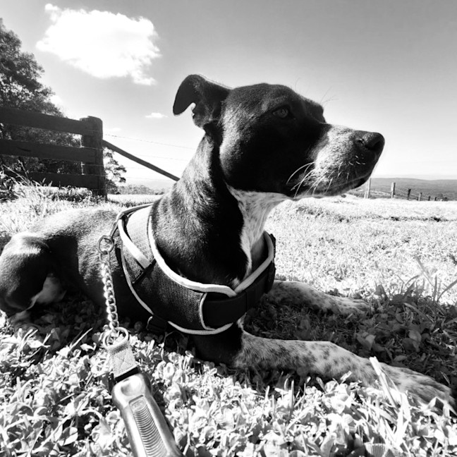 Photo of Maggie