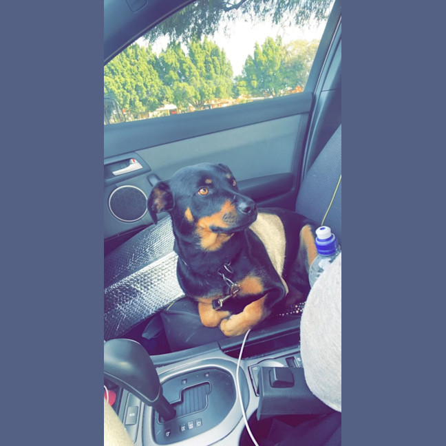 Photo of Ally And Lilly