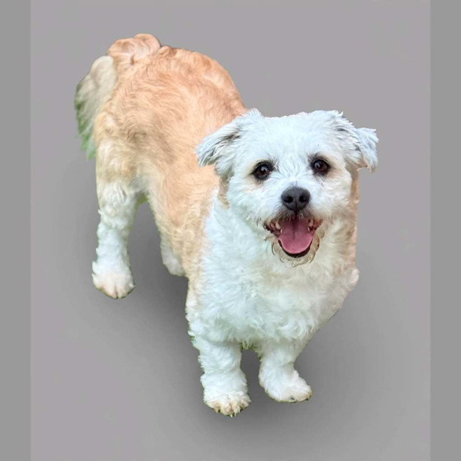 Photo of Bilo