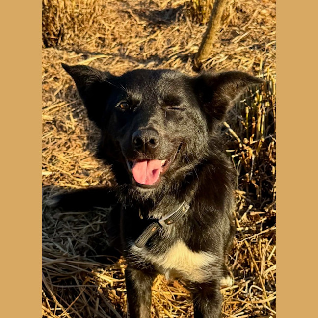 Photo of Tank