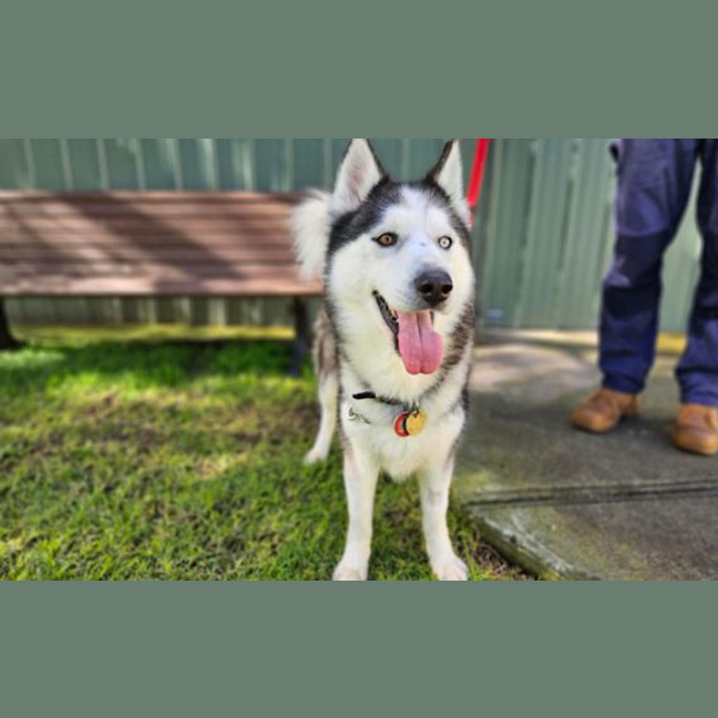 Photo of Max