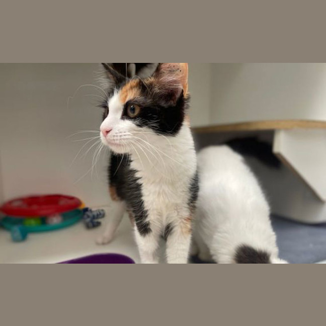 Photo of Ramona