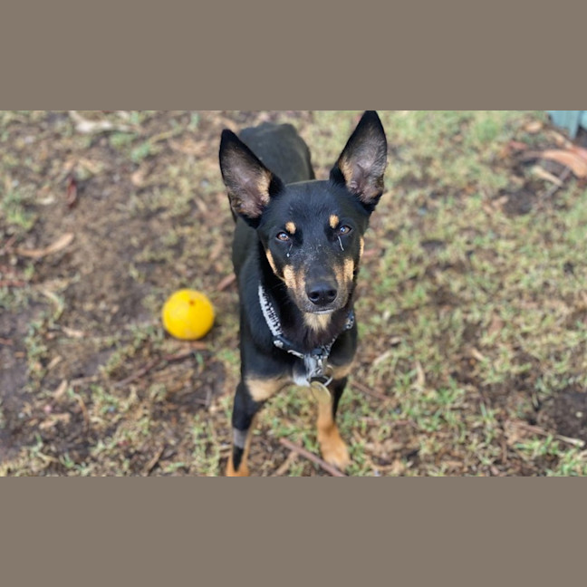 Photo of Cowboy