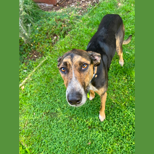 Photo of Lucy