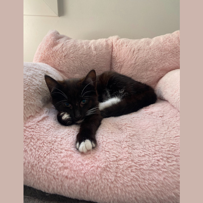 Photo of Astrid & Nova