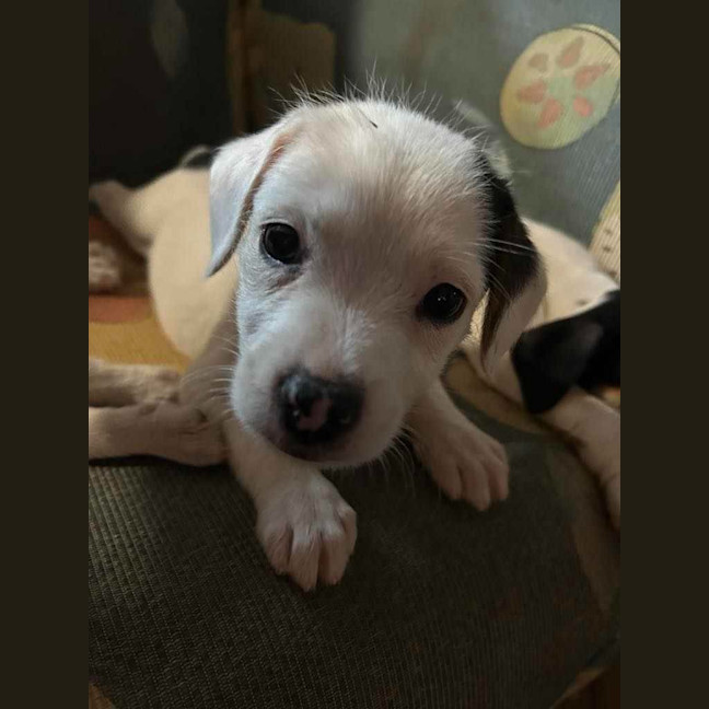 Photo of Lenny