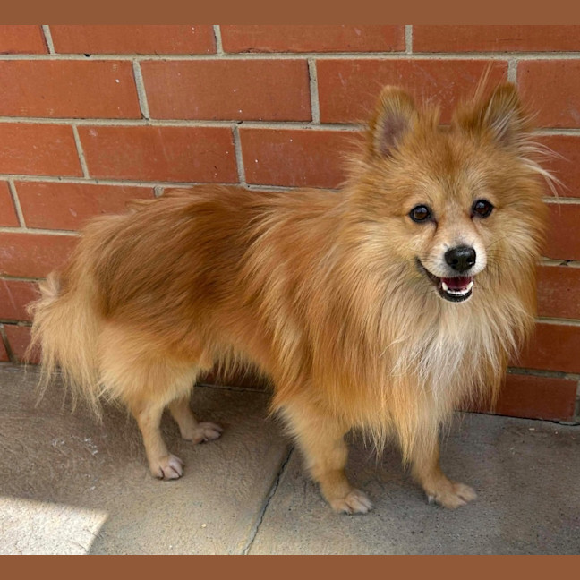 Photo of Teddy