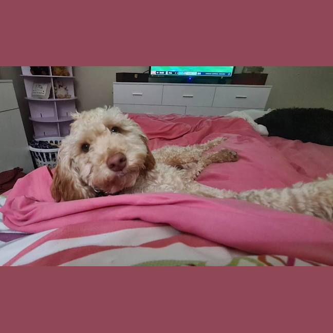 Photo of Ruby (Previously Janey)