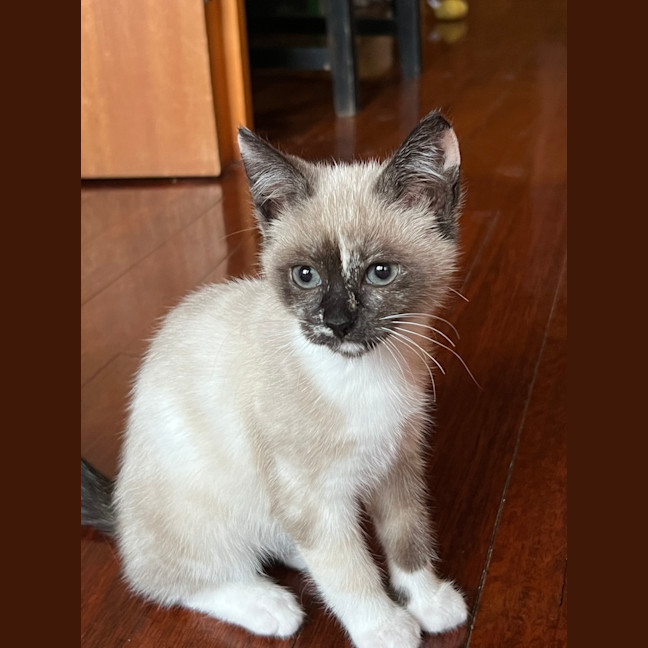 Photo of Riff