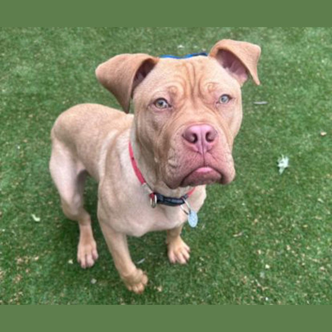 Photo of Bruce Bogtrotter