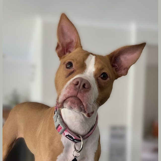 Photo of Soleil