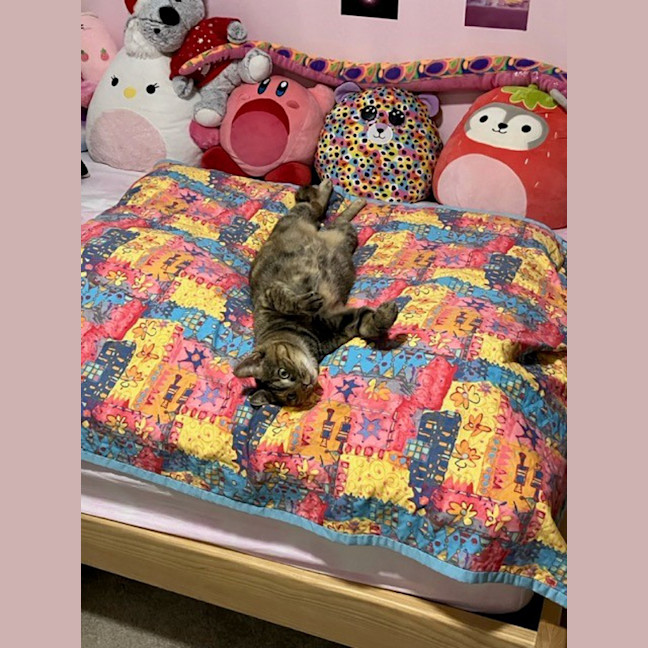 Photo of Luna 