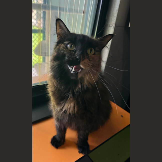 Photo of Sally