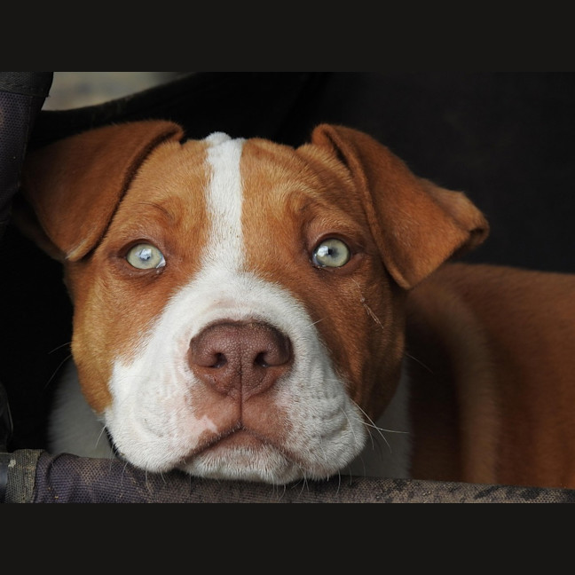 Photo of Christopher