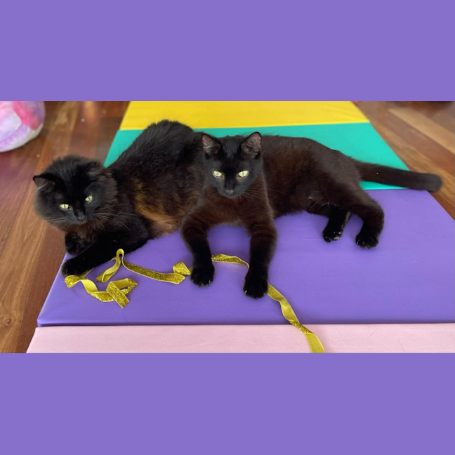 Photo of Frankie & Billie