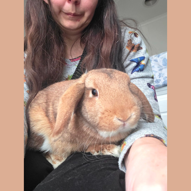 Photo of Raisin