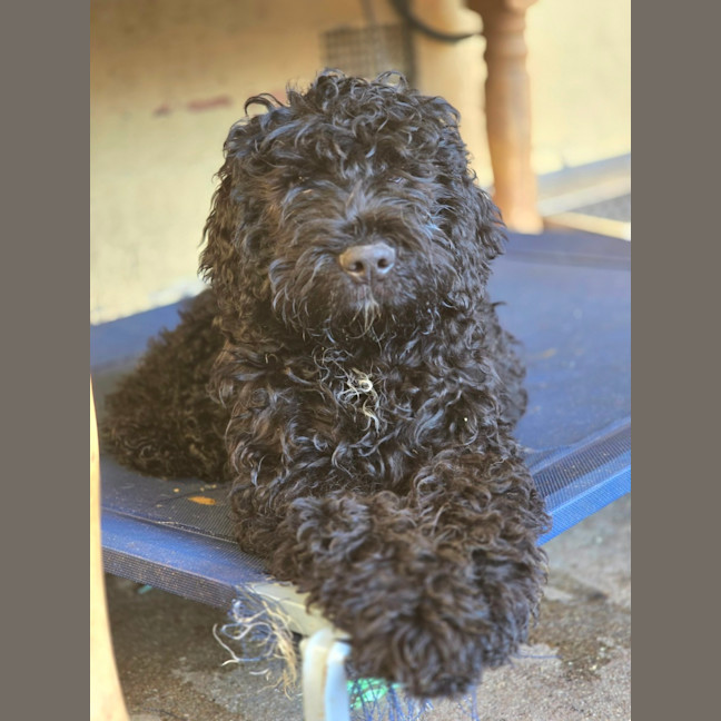 Photo of Prince Edward 