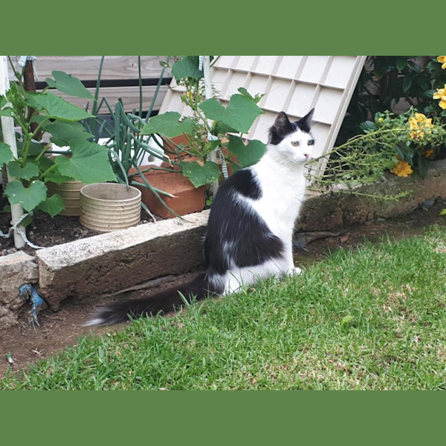 Photo of Cattie And Rosie 