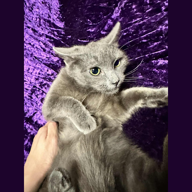 Photo of Tim Tam