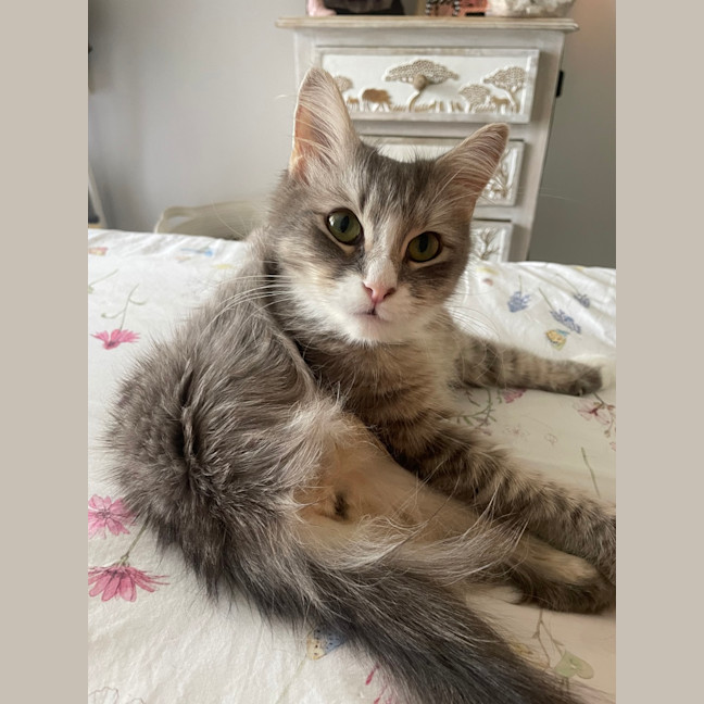 Photo of Pippy