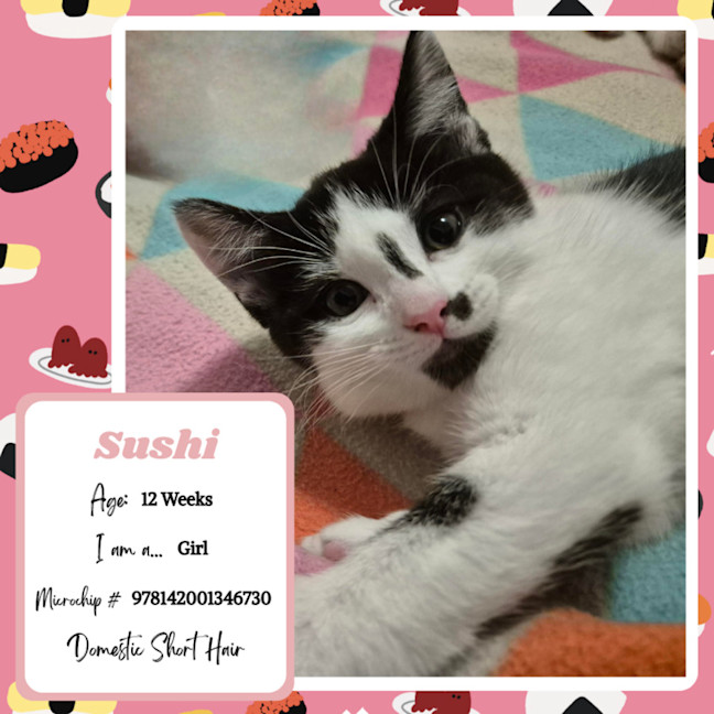 Photo of Sushi