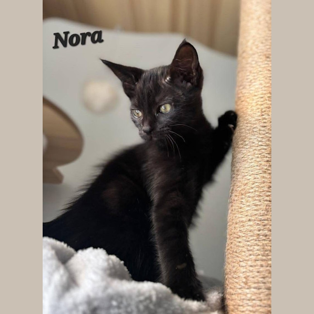 Photo of Nora
