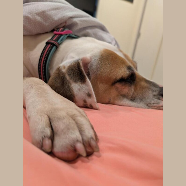 Photo of Katie