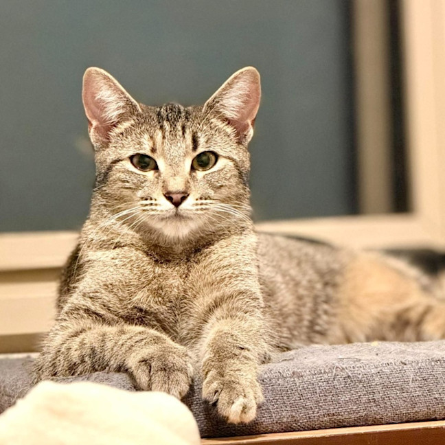 Photo of Melody   In Foster Care In Templestowe