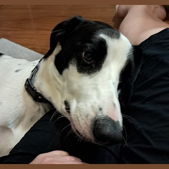 Photo of Charlie