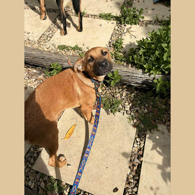 Photo of Gabby
