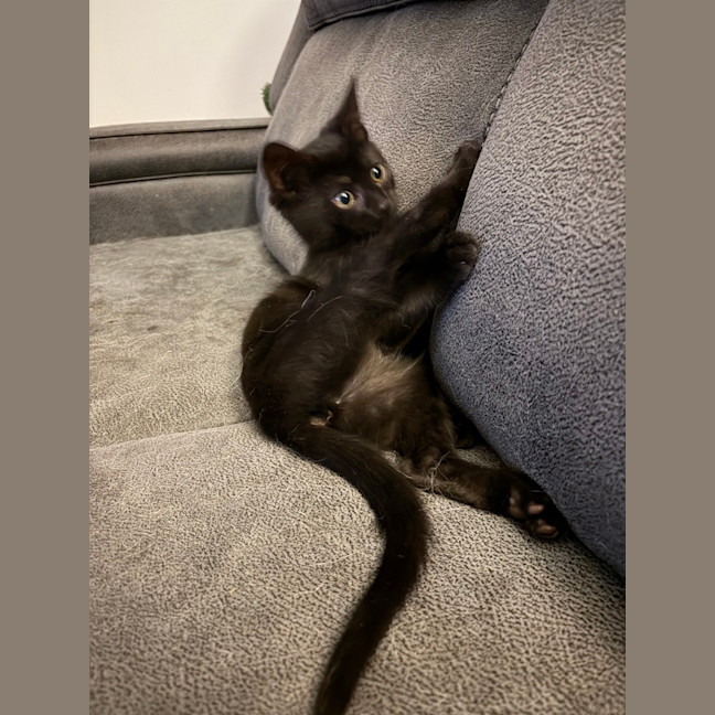 Photo of Mila