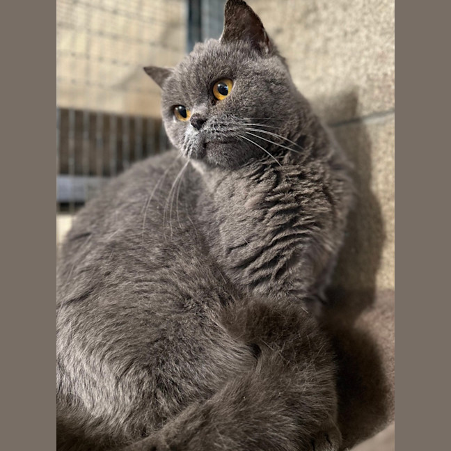 Photo of Fafa And Britt