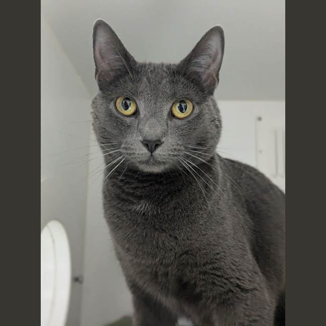 Photo of 🐻 Bear 5698 🐻