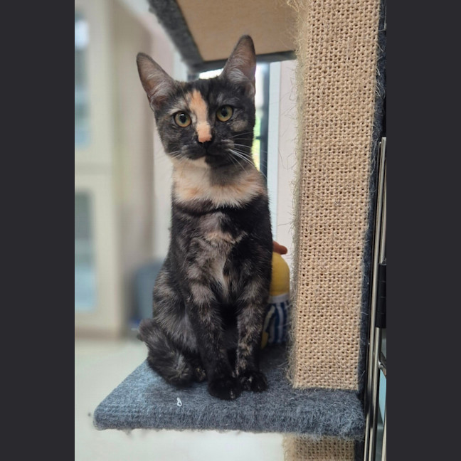 Photo of Miss Pink (0197)