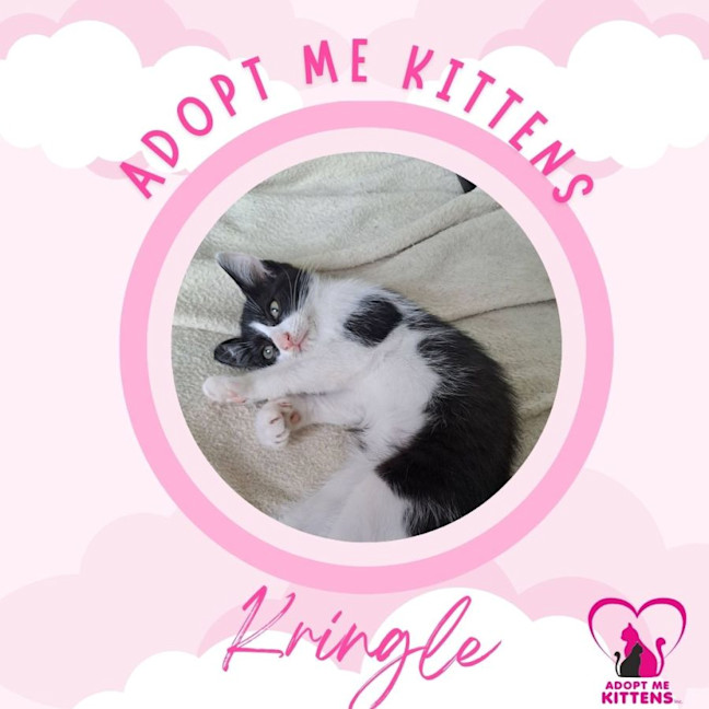 Photo of Kringle
